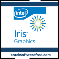 IRIS Crack Logo