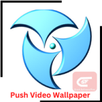Push Video Wallpaper crack