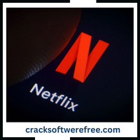 VyprVPN Crack Logo