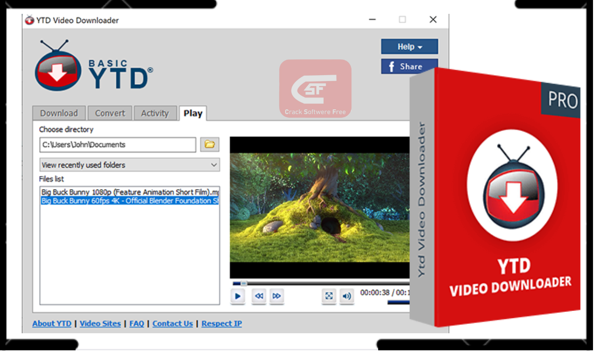 YTD Video Downloader Pro 7 License Key